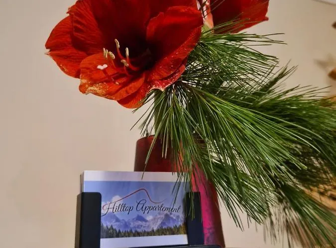 Hilltop Apartament *