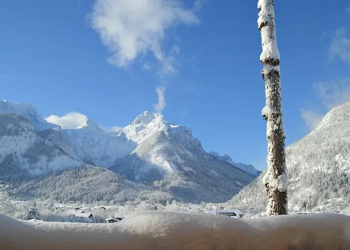 Hilltop Apartament *